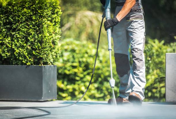 Best Animal Enclosure Cleaning  in Manhasset Hills, NY
